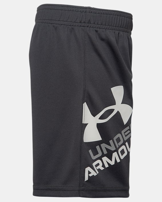 Under Armour Boys Prototype Logo Shorts